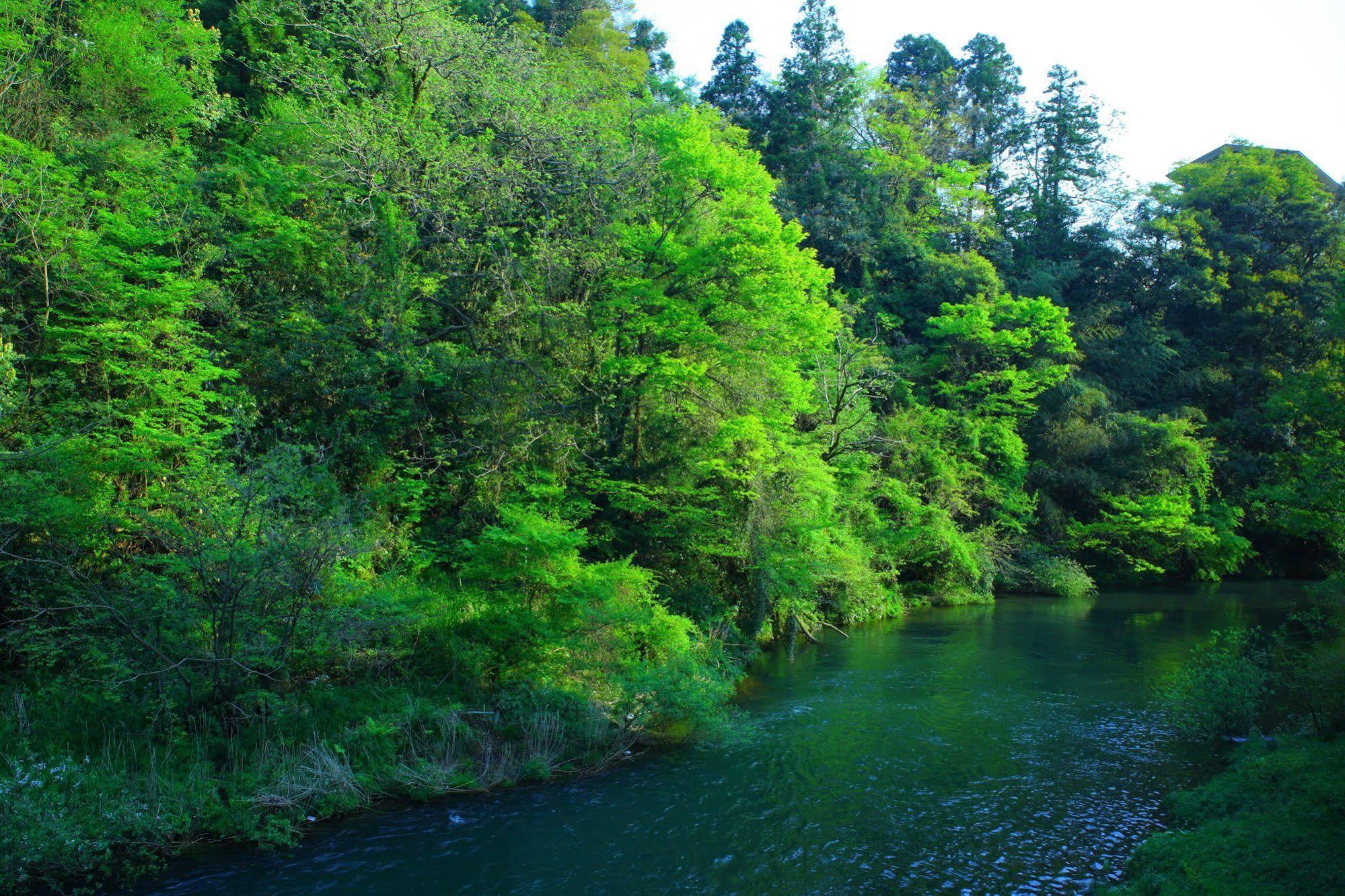 Yamanakaonsen Ohanami Kyubei Kaga  Exteriér fotografie